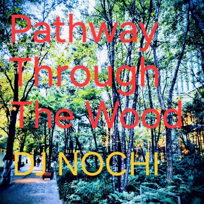 シングル/Pathway Through The Wood/DJ NOCHI