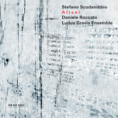 Scodanibbio: Alisei/Daniele Roccato／Ludus Gravis Ensemble