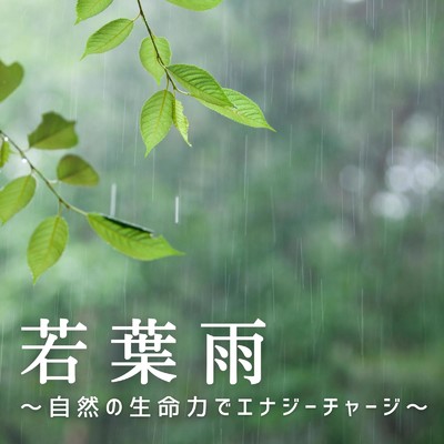 若葉雨〜自然の生命力でエナジーチャージ〜/Relax α Wave