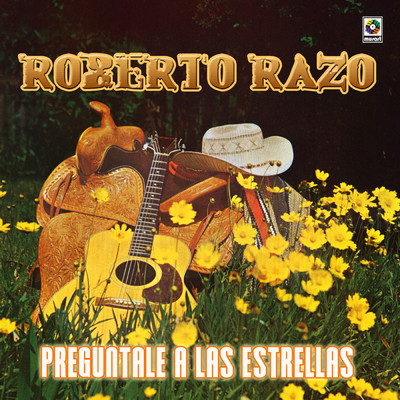 El Ausente/Roberto Razo