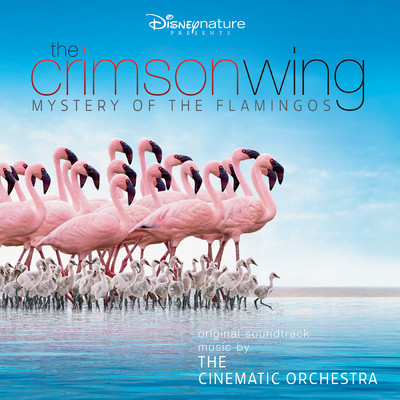 シングル/Crimson Skies (From ”The Crimson Wing: Mystery of the Flamingos” ／ Soundtrack Version)/ザ・シネマティック・オーケストラ／The London Metropolitan Orchestra