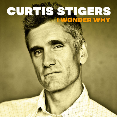 シングル/I Wonder Why/CURTIS STIGERS