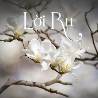 Loi Ru (Beat)/NS Records