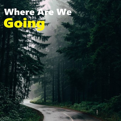 Where Are We Going/Danto