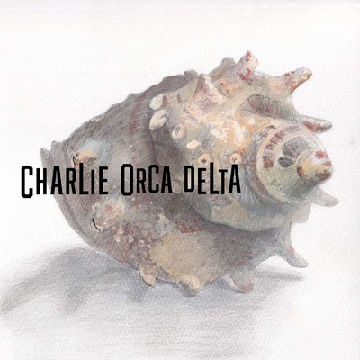 DTM/CharlieOrcaDelta