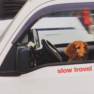 slow travel/Big sloth