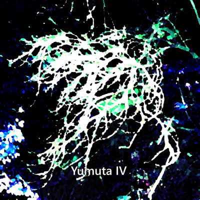 アルバム/Yumuta IV/Yumuta