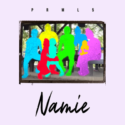 Namie/PRML5