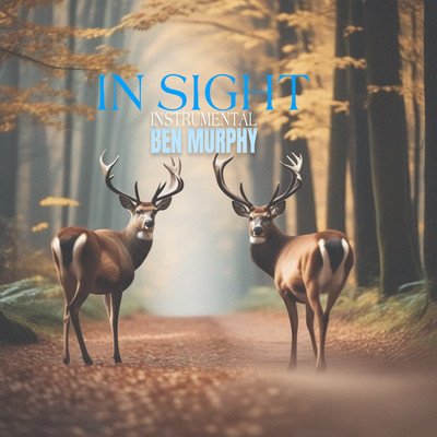 In Sight (Instrumental)/Ben Murphy