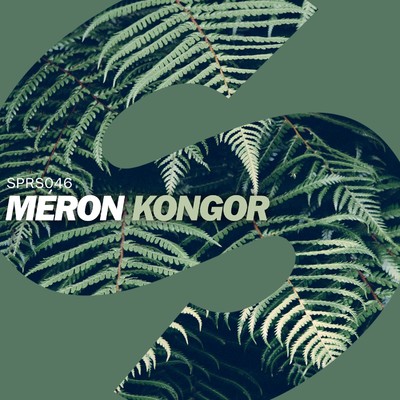 アルバム/Kongor/Meron