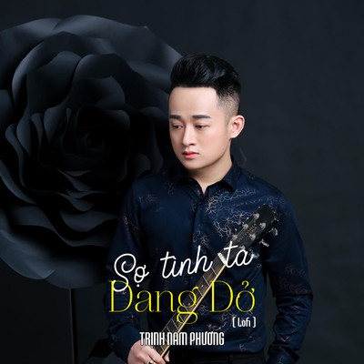 シングル/So Tinh Ta Dang Do (Lofi)/Trinh Nam Phuong