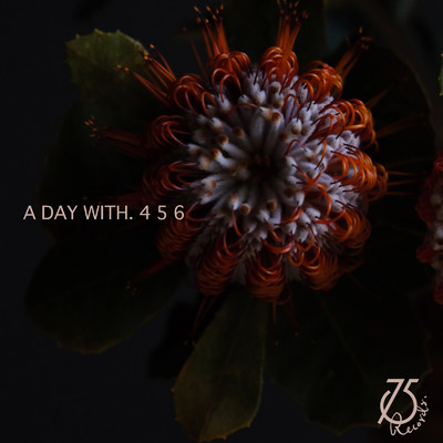 アルバム/A Day With.456/STUDIO75