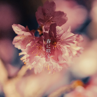 春に咲く/What at lazz