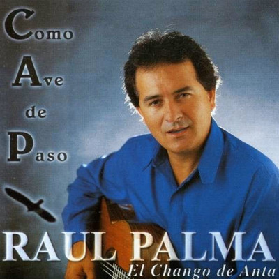 Estoy De Vuelta/Raul Palma