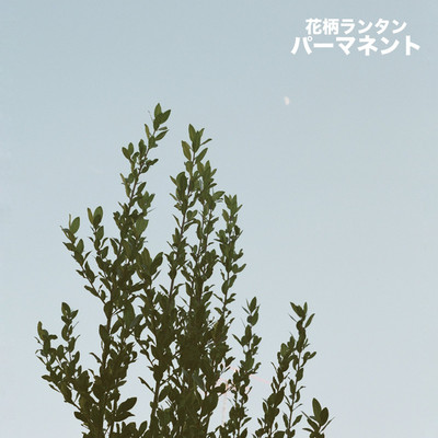 アルバム/パーマネント/花柄ランタン