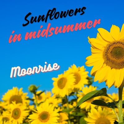 シングル/Sunflowers in Midsummer/Moonrise