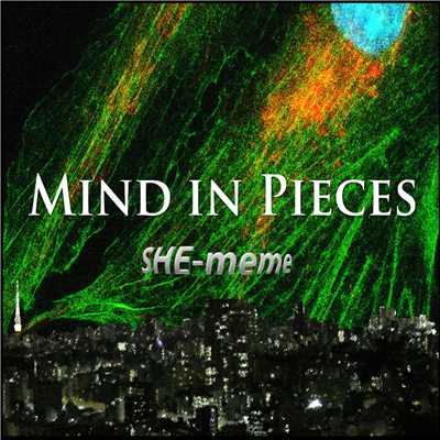 MIND IN PIECES/SHE-meme