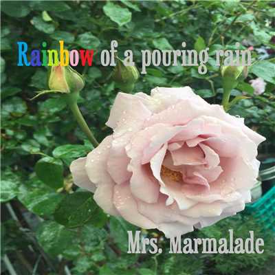 Rainbow of a pouring rain/Mrs.Marmalade