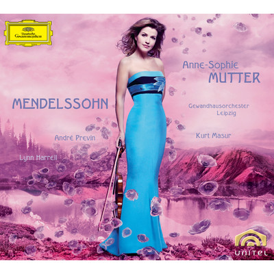 Mendelssohn: ピアノ三重奏曲 第1番 ニ短調 作品49 - 第1楽章: Molto allegro agitato/アンネ=ゾフィー・ムター／リン・ハレル／アンドレ・プレヴィン
