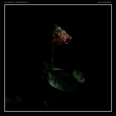 シングル/Bloom/Schaff Enskraft