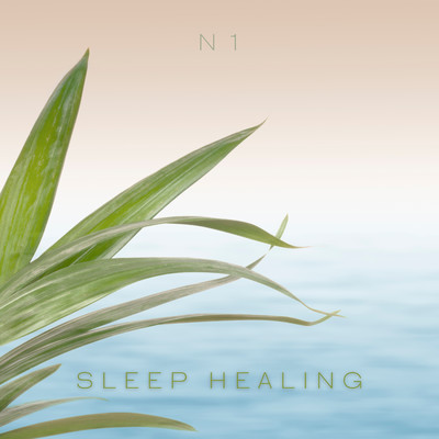 N1/Sleep Healing