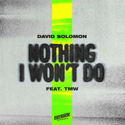 Nothing I Won't Do (feat. TMW)/David Solomon