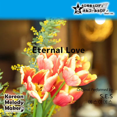 Eternal Love〜40和音メロディ (Short Version) [オリジナル歌手:S.E.S]/Korean Melody Maker