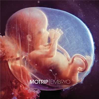 アルバム/Embryo/MoTrip