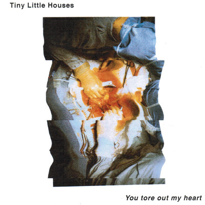 アルバム/You Tore Out My Heart/Tiny Little Houses