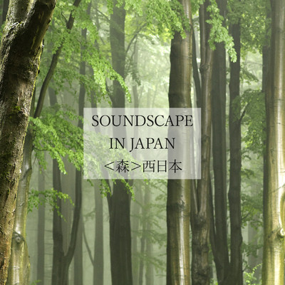 昼の森〜小豆島〜(春)/Nature Sound Mist