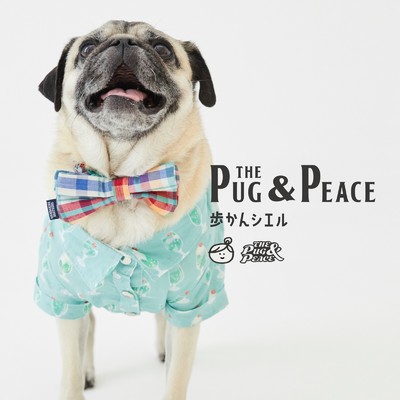 歩かんシエル/The Pug & Peace