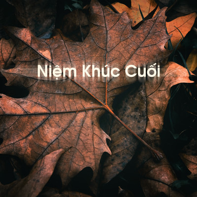 シングル/Niem Khuc Cuoi/Hang Han