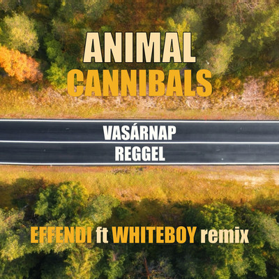 シングル/Vasarnap reggel (Effendi ft Whiteboy Remix)/Animal Cannibals