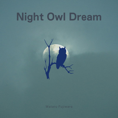 Night Owl Dream/Wataru Fujiwara