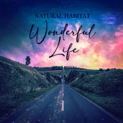 シングル/Wonderful Life/Natural Habitat