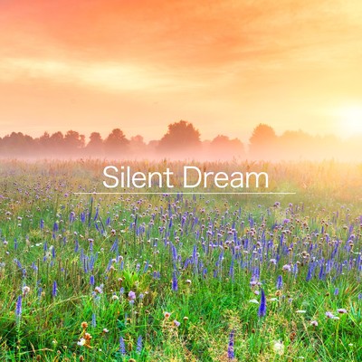 シングル/Silent Dream/mto