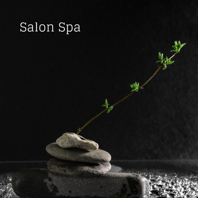 Salon Spa/Various Artists