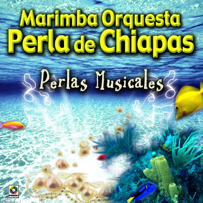 シングル/Cumbia Bonita/Marimba Orquesta Perla de Chiapas