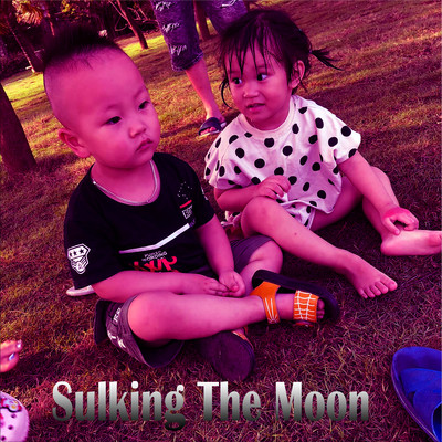Sulking The Moon (Beat)/Quang Thao