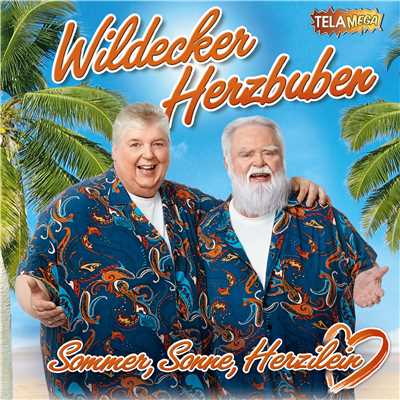 アルバム/Sommer, Sonne, Herzilein/Die Wildecker Herzbuben