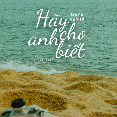 シングル/Hay Cho Anh Biet (Deye Remix)/Bin Bin