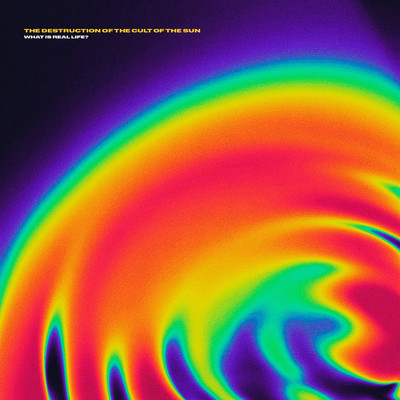 アルバム/What Is Real Life？/The Destruction Of The Cult Of The Sun