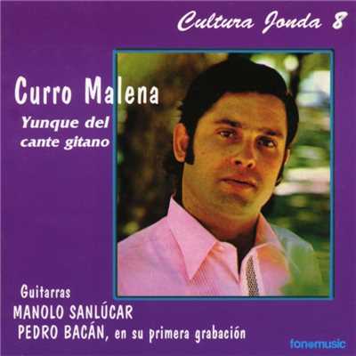 Cultura Jonda VIII. Curro Malena, yunque del cante gitano/Various Artists