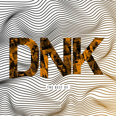 The Best of/DNK