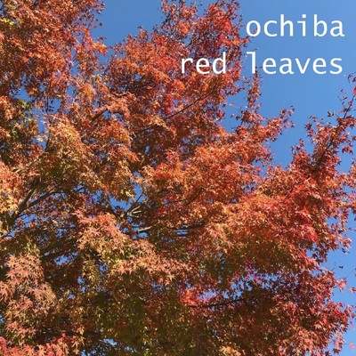 red leaves/ochiba