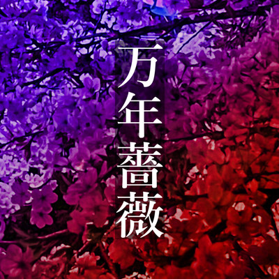 シングル/万年薔薇 (feat. MEIKO)/IMO