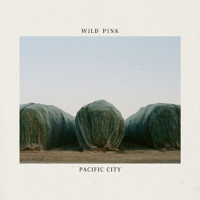 アルバム/Pacific City (Explicit)/Wild Pink