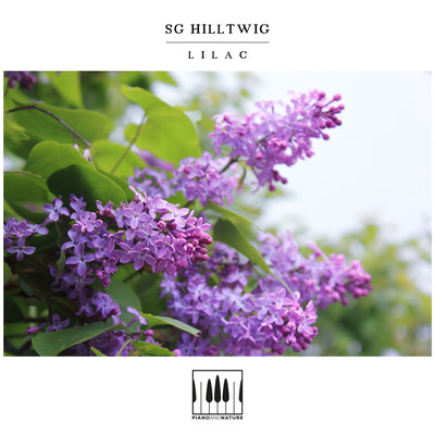 Lilac/SG Hilltwig