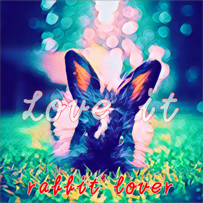 rabbit lover