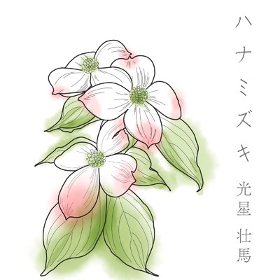 ハナミズキ (feat. 一青窈) [Cover]/光星 壮馬